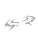 Star Shock
